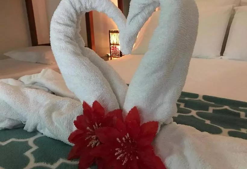 ペンション Pousada Do Mineiro