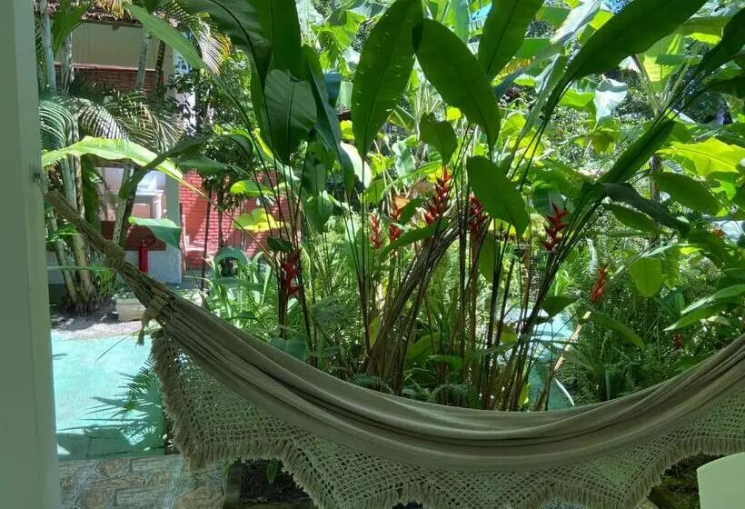 ペンション Pousada Do Mineiro