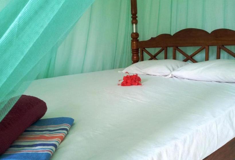 بنسيون Rainbow Guest House