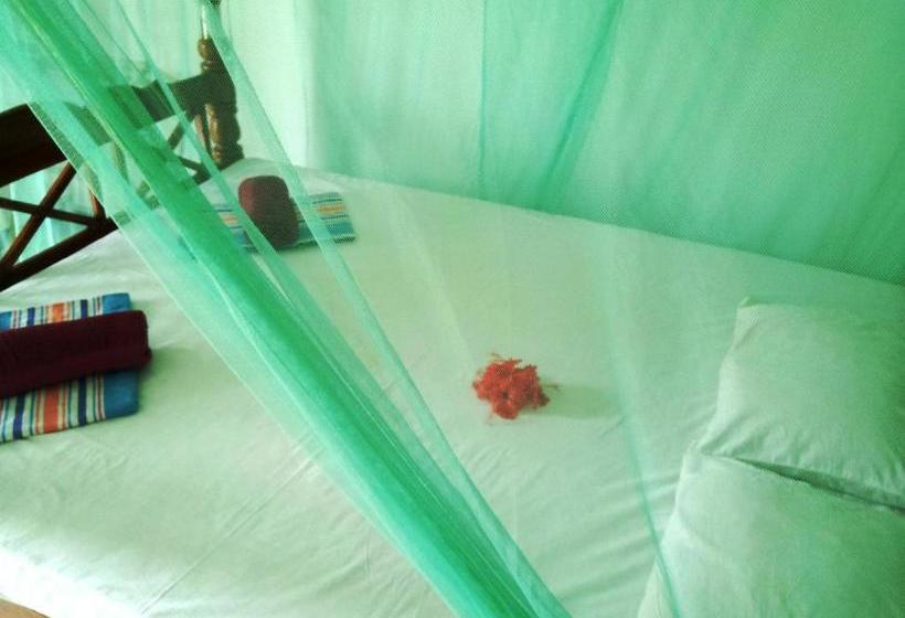 بنسيون Rainbow Guest House