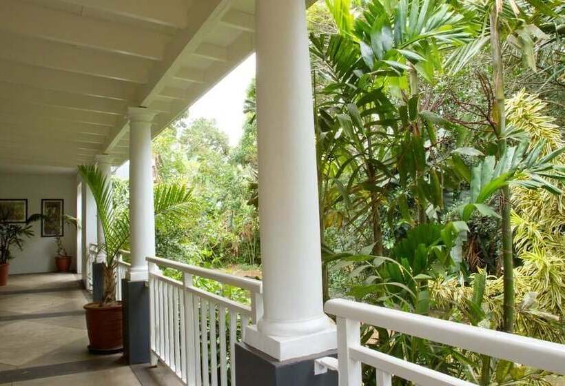 פנסיון Summerhill Guest Estate