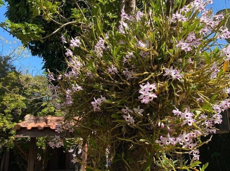 Пансион Village Colonial Pousada