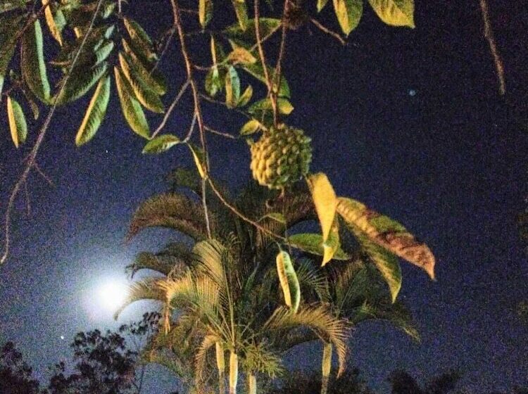 Пансион Village Colonial Pousada