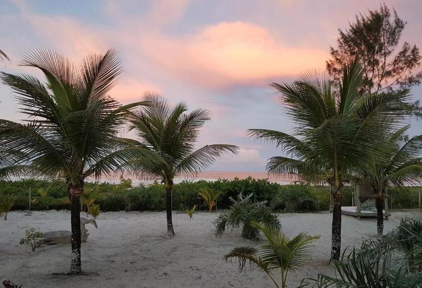 호스텔 Bambusada Boutique