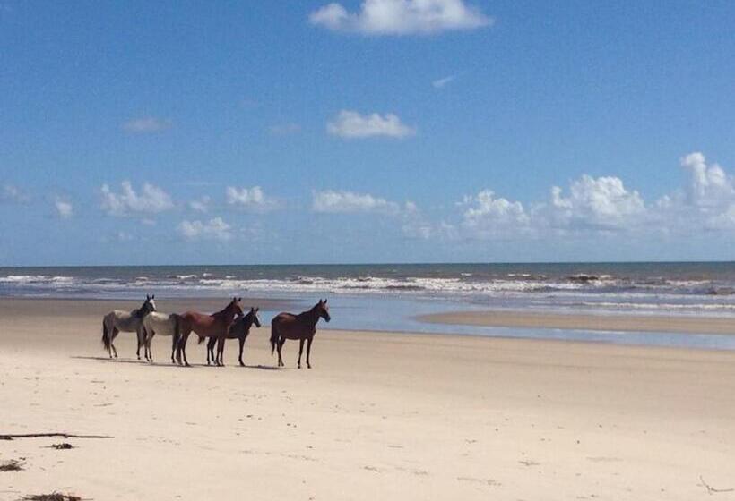 호스텔 Bambusada Boutique