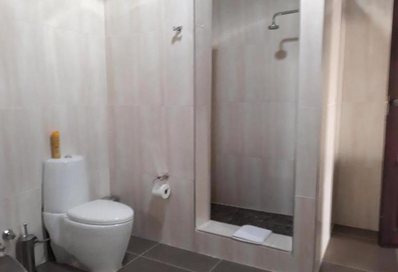 ペンション Aalwyns Guesthouse