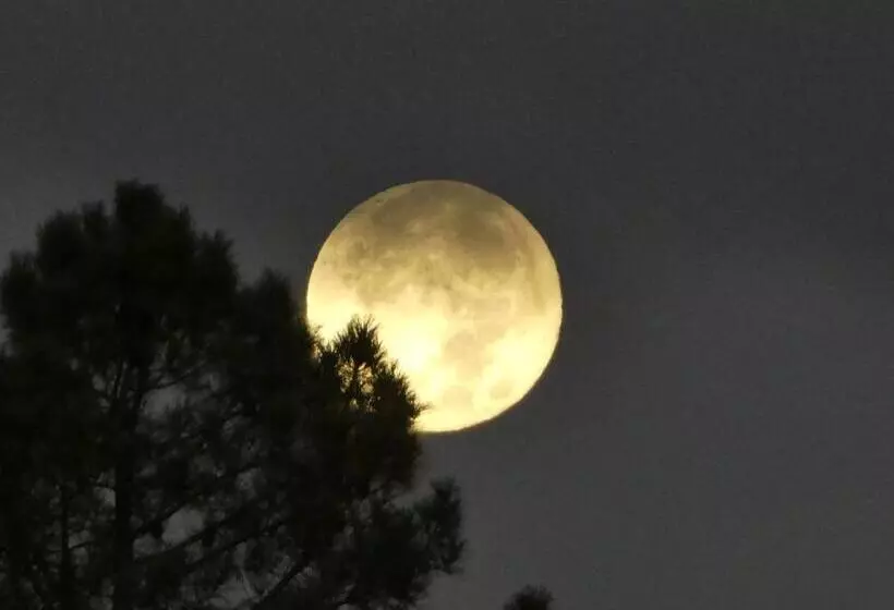 Majatalo Casa Aba Matapalo