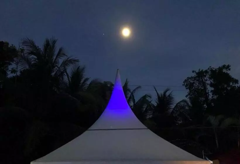 Majatalo Casa Aba Matapalo