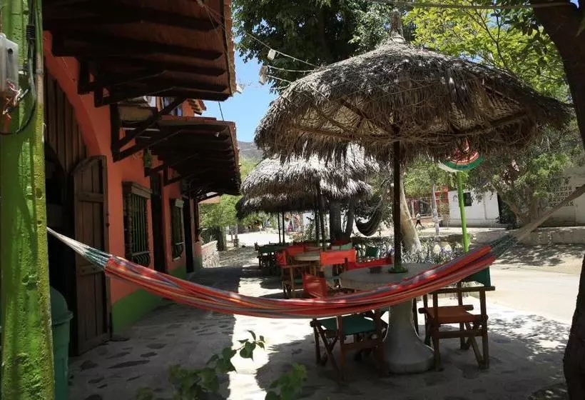 ペンション Hostal Pelikan Taganga