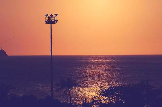 ペンション Hostal Pelikan Taganga