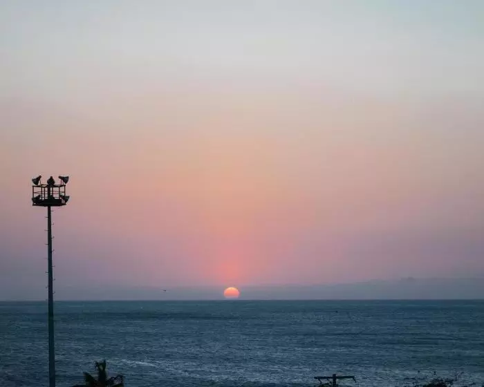 ペンション Hostal Pelikan Taganga