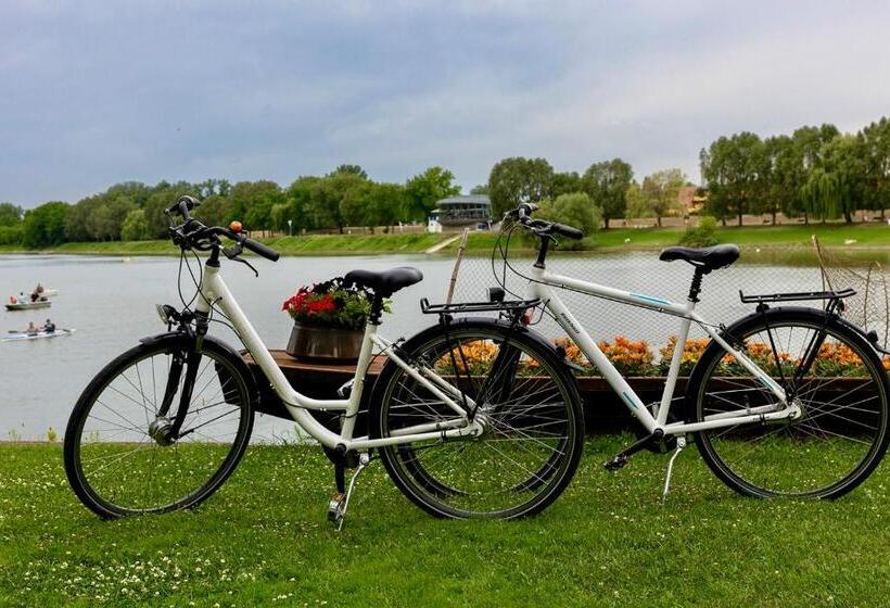 Pensionat Kisviza Vendégház