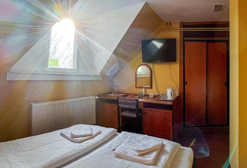 Pensionat Kisviza Vendégház