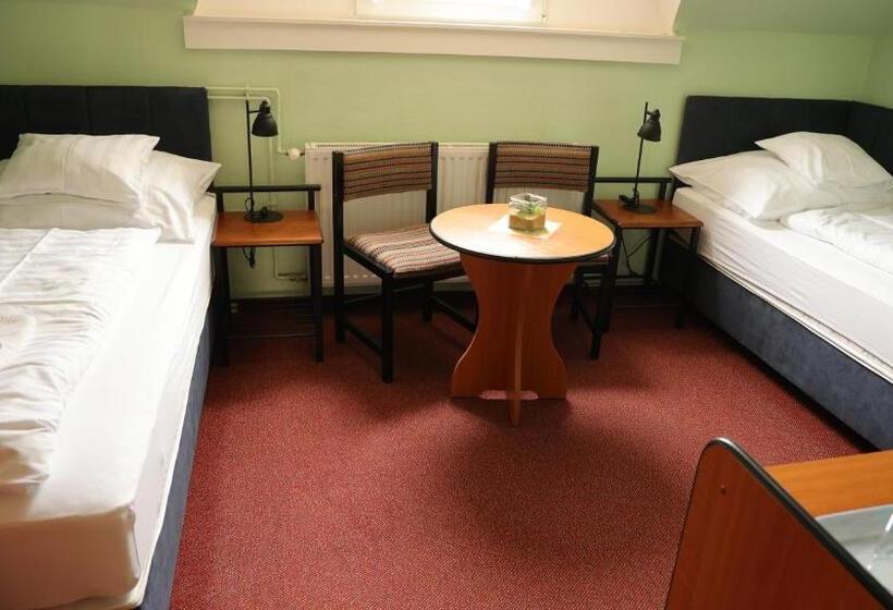 Pensionat Kisviza Vendégház