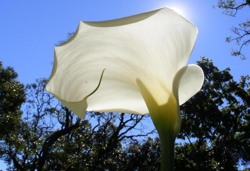 بنسيون Nas Nuvens Hospedaria