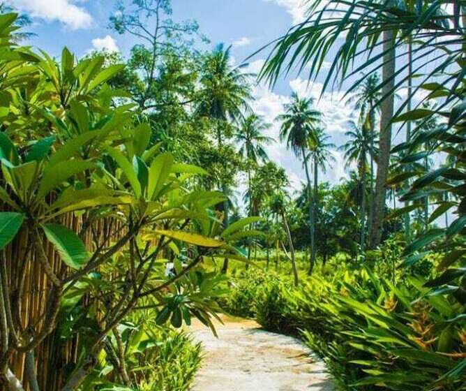 膳宿费 Natai House