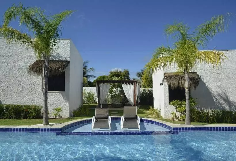 ペンション Oasis Tajaja Pousada