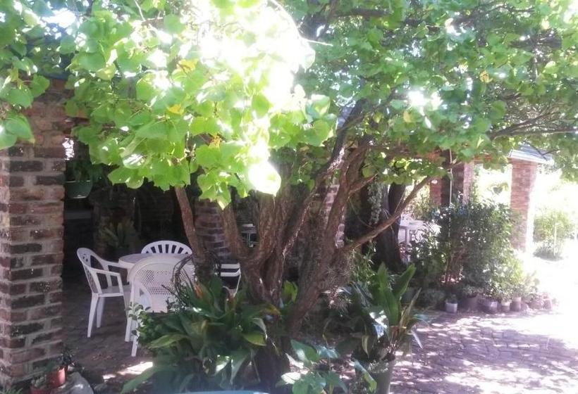 膳宿费 Onze Rust Guest House And Caravanpark