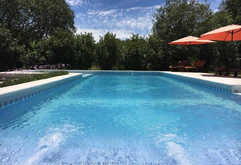 Pueblo Santo, Cabañas & Suites