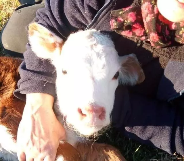 ホテル Haras L'etalon
