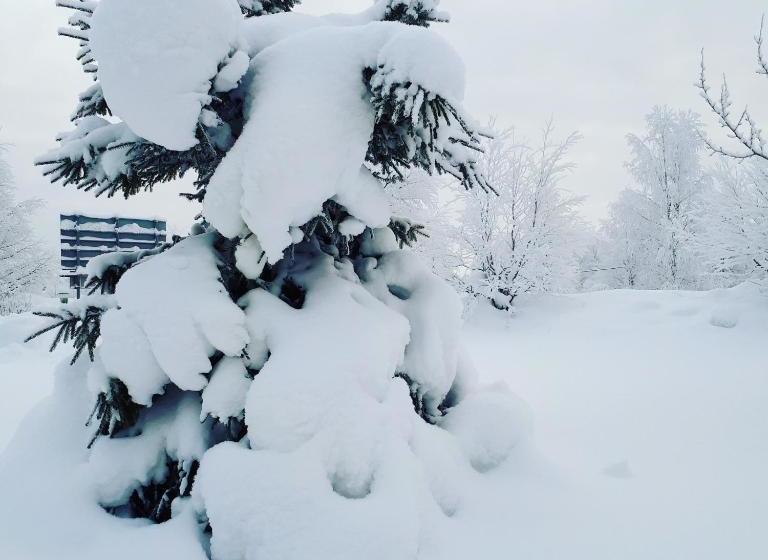 Pensione Dessans Café & Logi