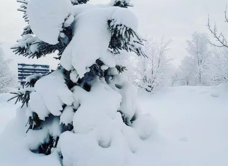 Majatalo Dessans Café & Logi