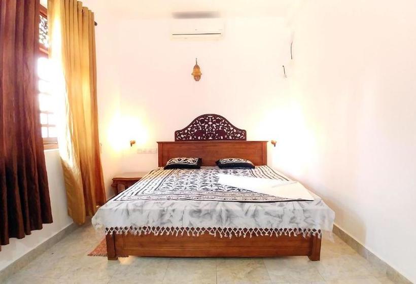 פנסיון Guest House Basilea