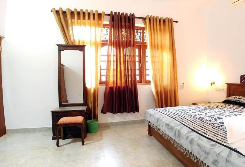 פנסיון Guest House Basilea