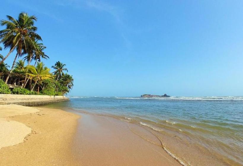 פנסיון Guest House Basilea