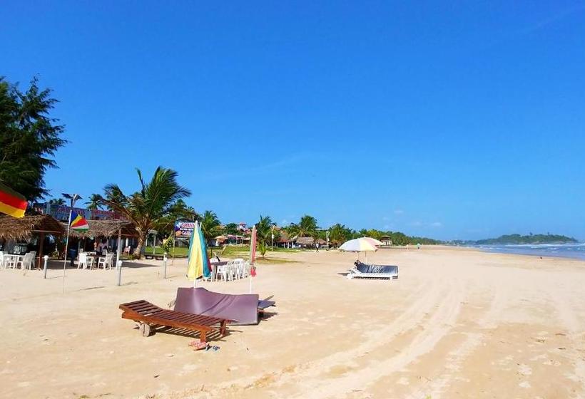 פנסיון Guest House Basilea