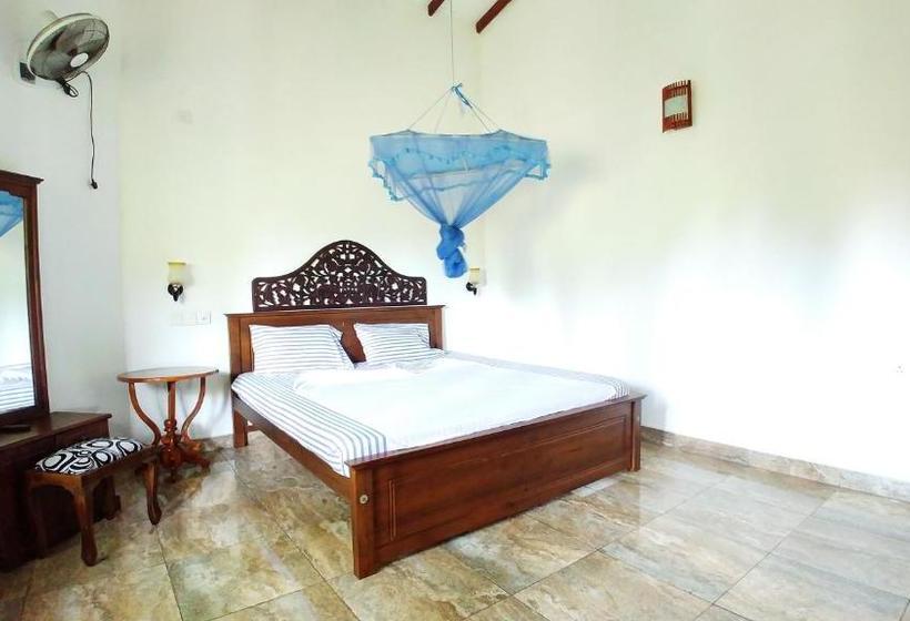 פנסיון Guest House Basilea