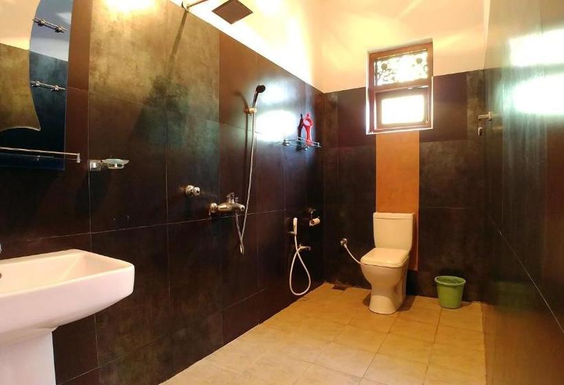 פנסיון Guest House Basilea