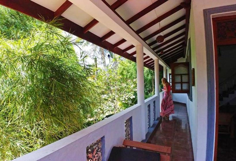 פנסיון Guest House Basilea