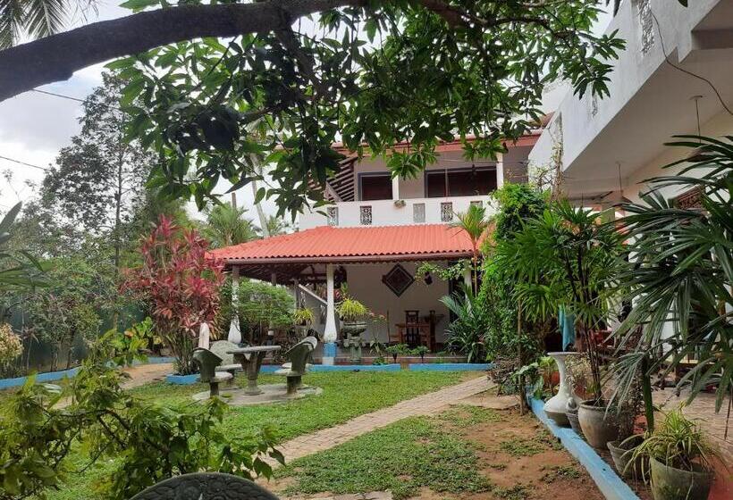 פנסיון Guest House Basilea