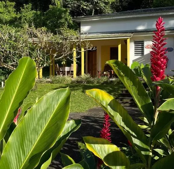 پانسیون Les Cycas