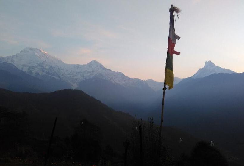 پانسیون Unique Guest House