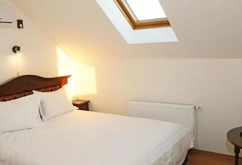 هاستل Hanu Lui Gica Spa