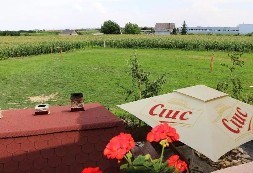 هاستل Hanu Lui Gica Spa