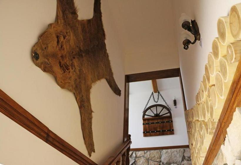 هاستل Hanu Lui Gica Spa