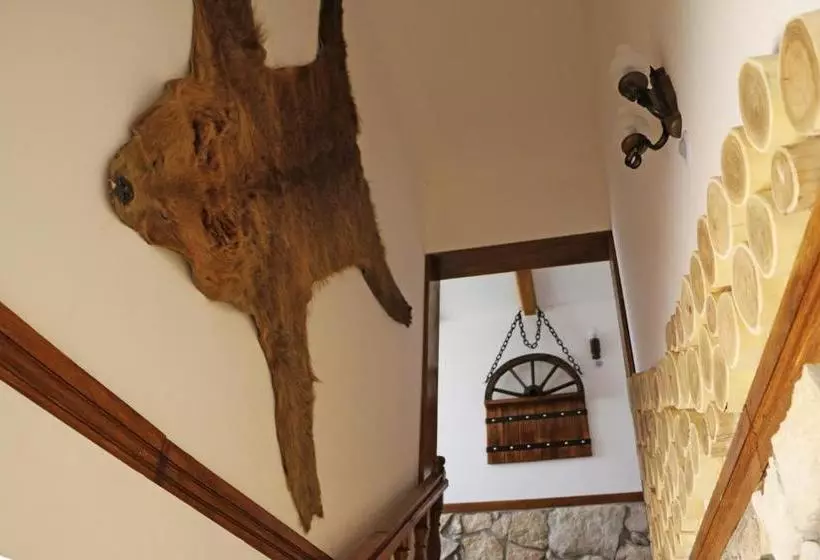 هاستل Hanu Lui Gica Spa