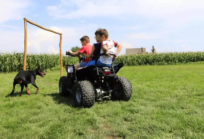 هاستل Hanu Lui Gica Spa