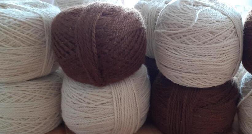 فندق Bergbauernhof Stauder   Hirschbergalpakas