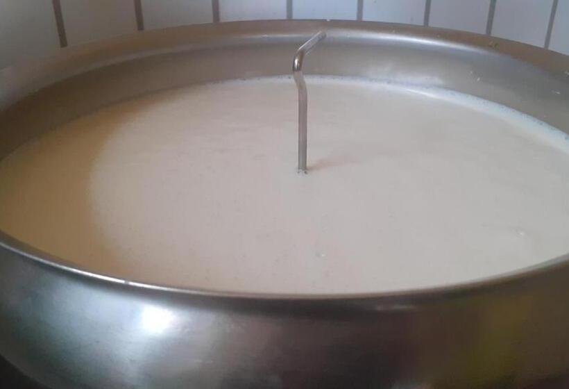 فندق Bergbauernhof Stauder   Hirschbergalpakas