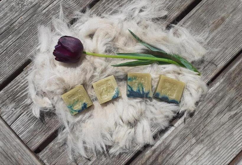 فندق Bergbauernhof Stauder   Hirschbergalpakas