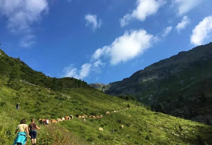 ホテル Bergbauernhof Stauder   Hirschbergalpakas