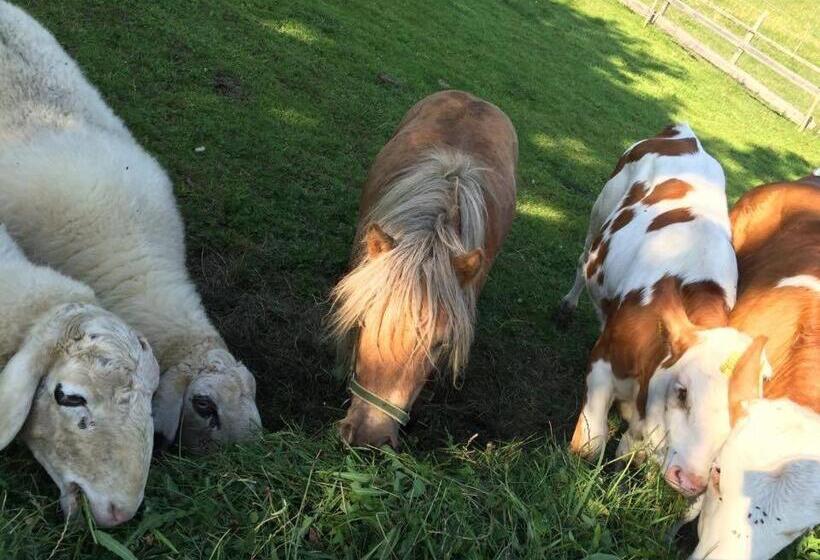 فندق Bergbauernhof Stauder   Hirschbergalpakas