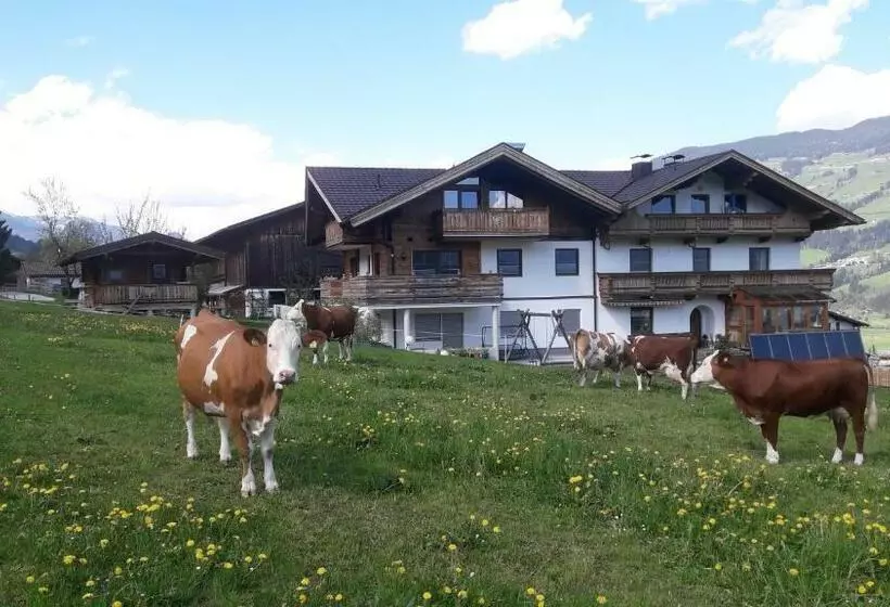ホテル Schorpenhof