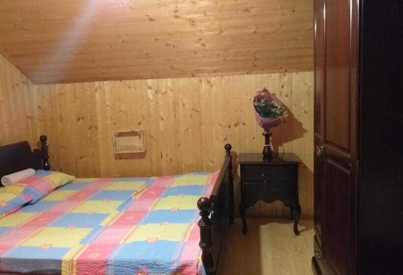 پانسیون Lodging Vidmar