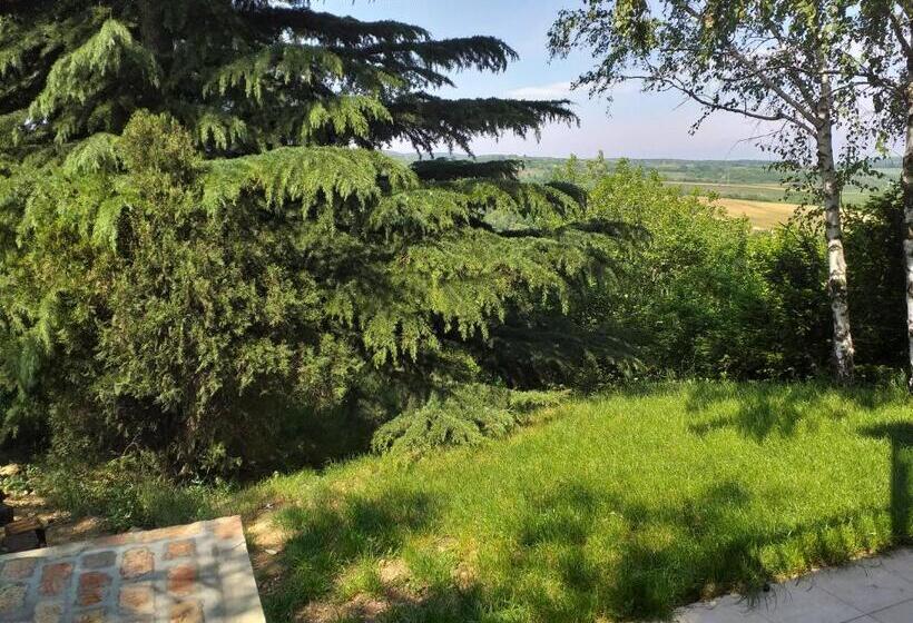 پانسیون Lodging Vidmar