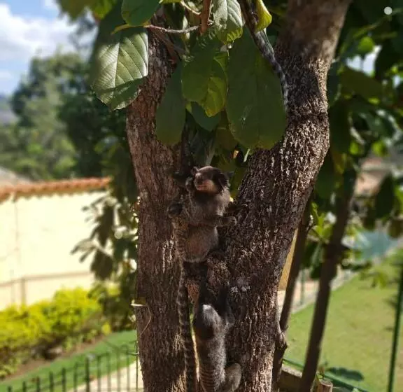 Majatalo Pousada Bella Vista